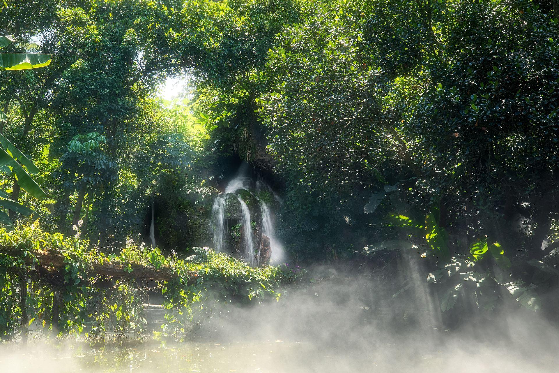 Xiamen Botanical Garden