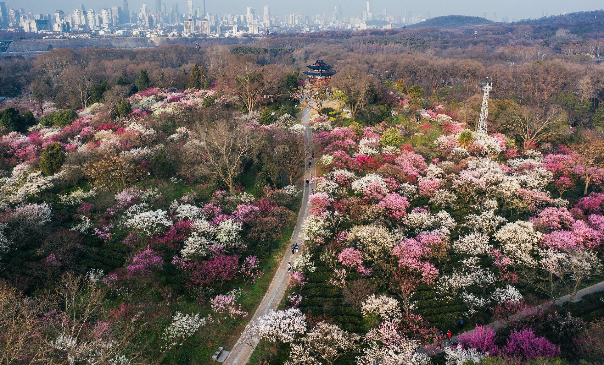 Zhongshan Mountain National Park