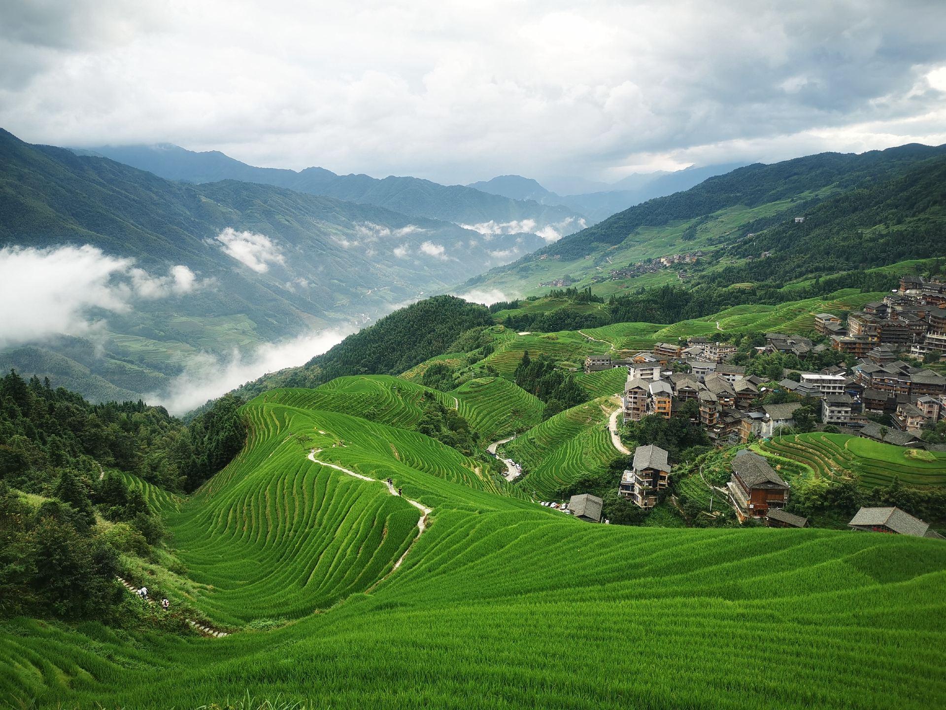 Longji Terraces