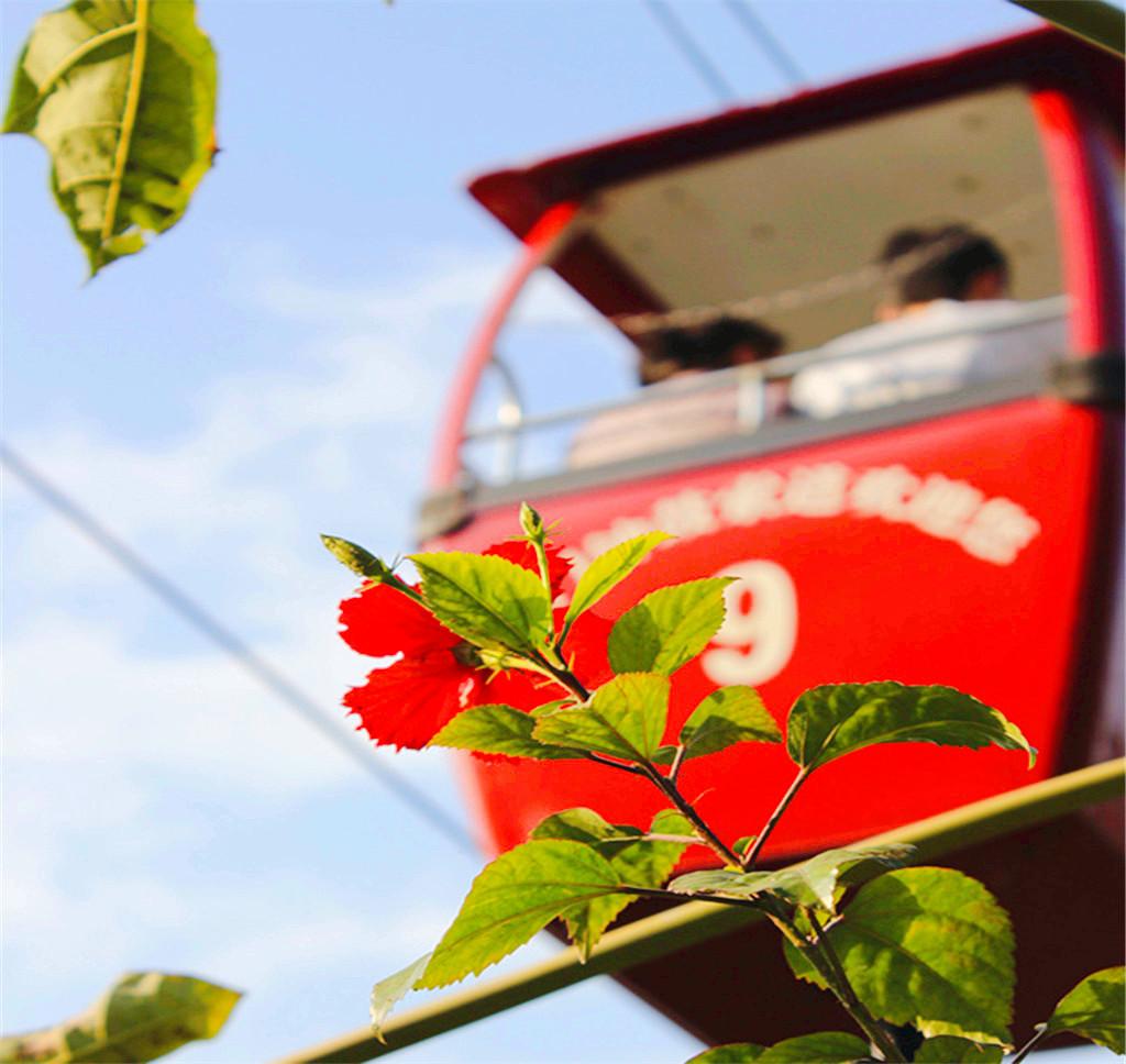 Zhonggu Cable Car