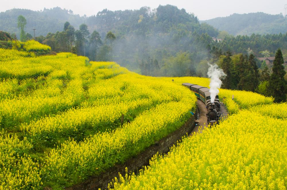Jiayang Narrow-Gauge Train