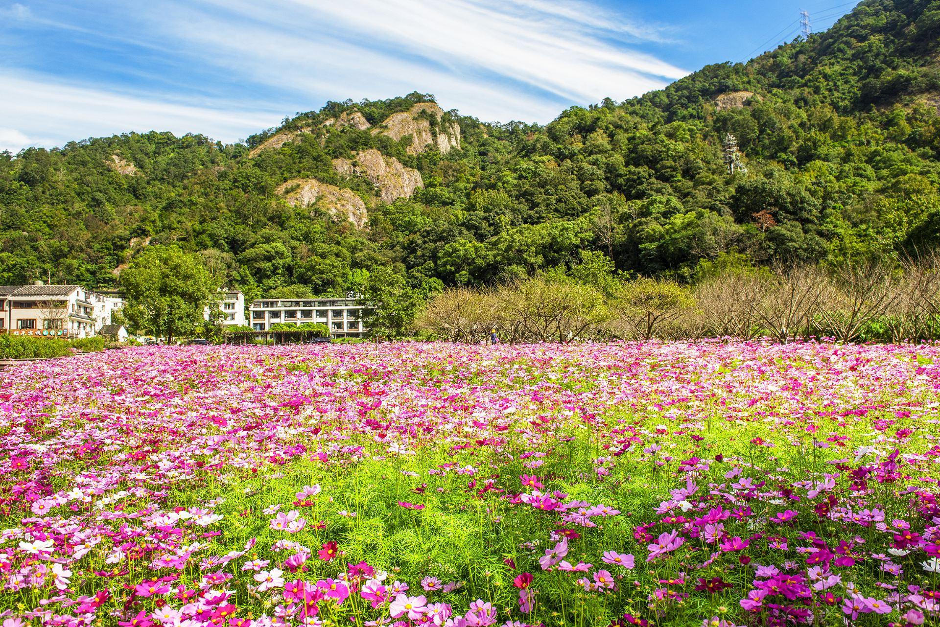 Yandang Mountain