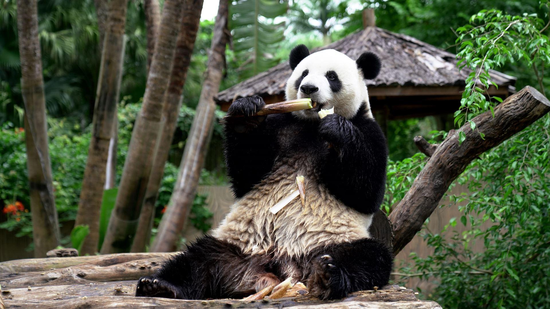 Hainan Tropical Wildlife Park And Botanical Garden