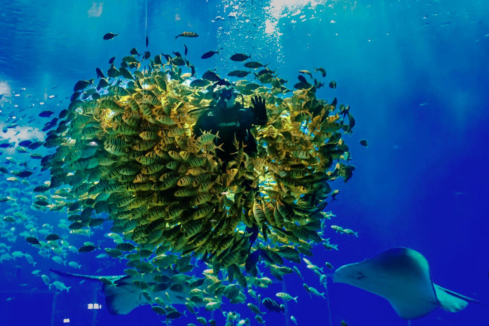 Nanning Polar Ocean World