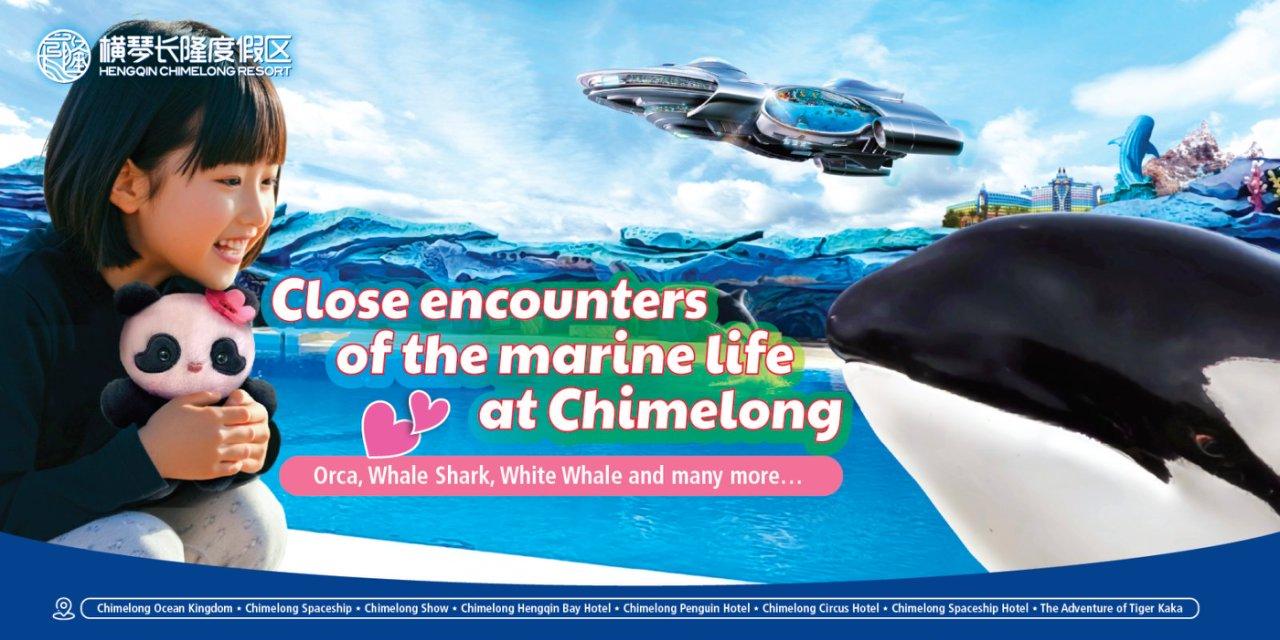 Zhuhai Chimelong International Ocean Resort