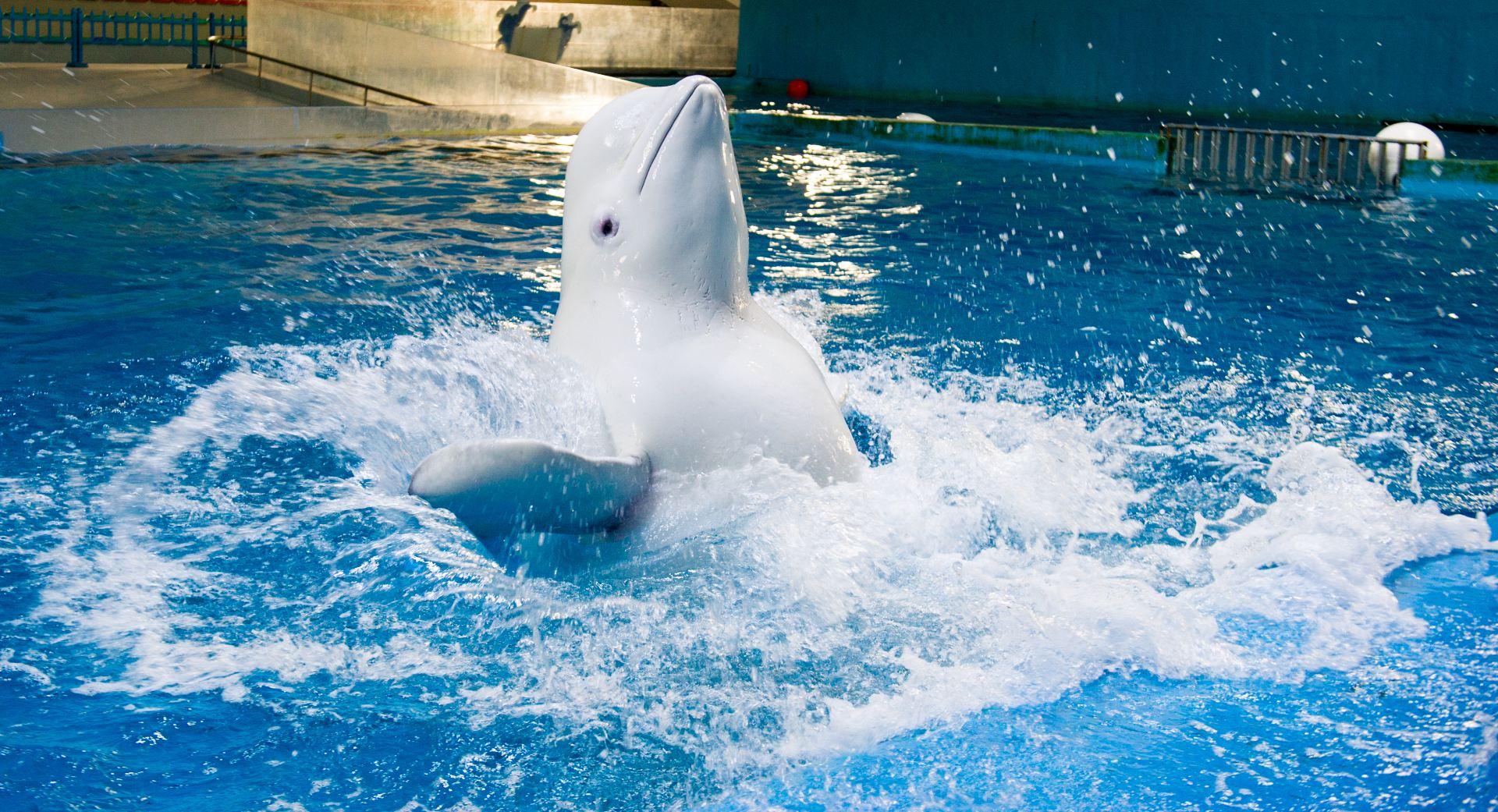 Ocean Aquarium of Penglai