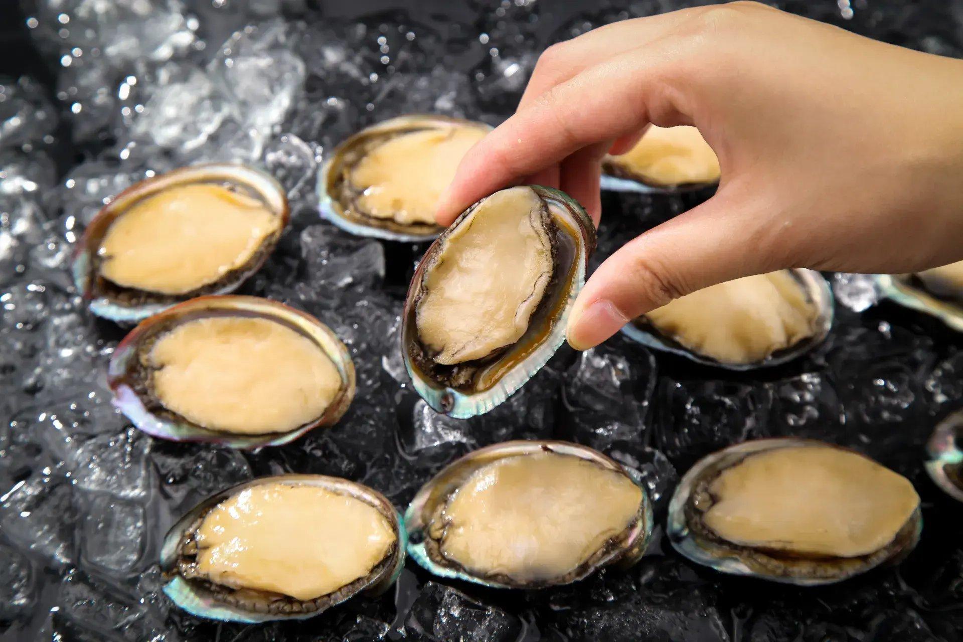 Dalian Abalone